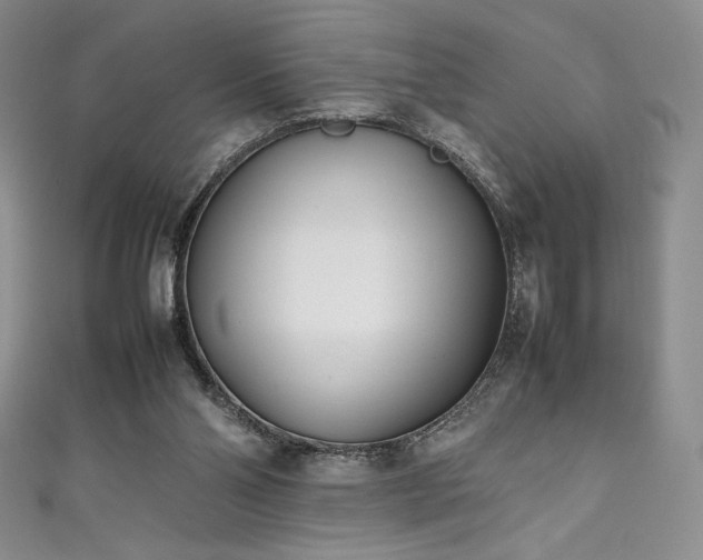 X0000111530110200907141536