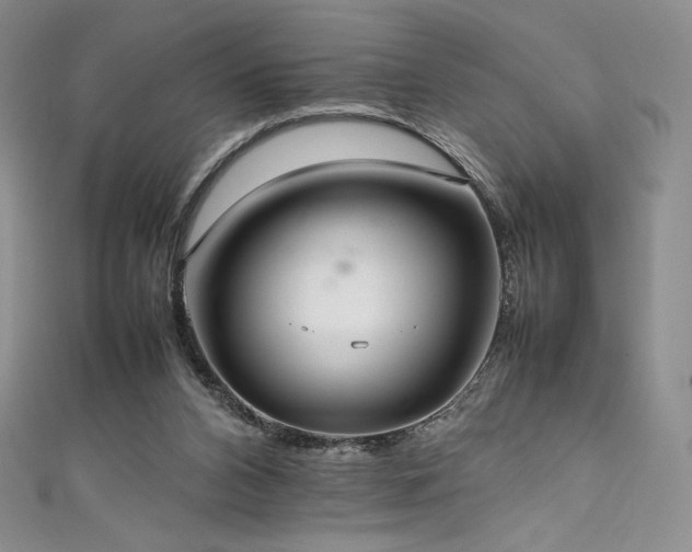 X0000111530112200907141536