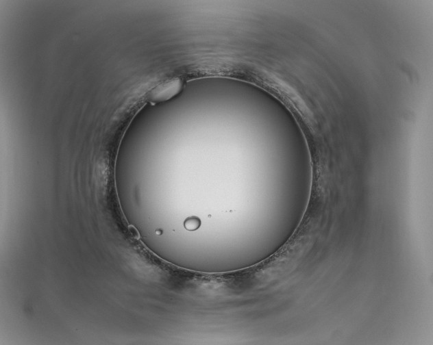 X0000111530113200907141536