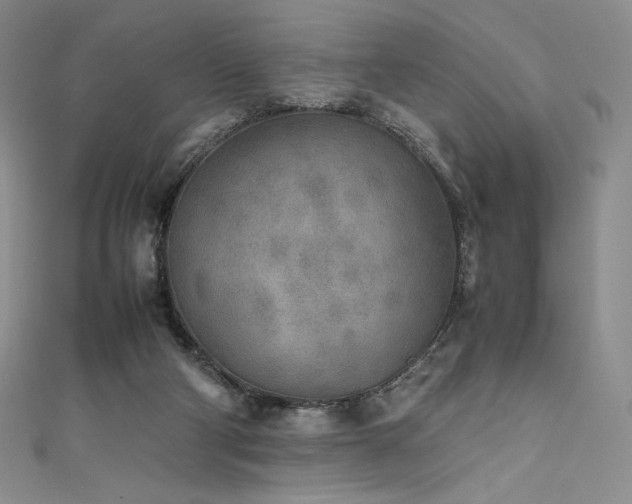 X0000111530114200907141536