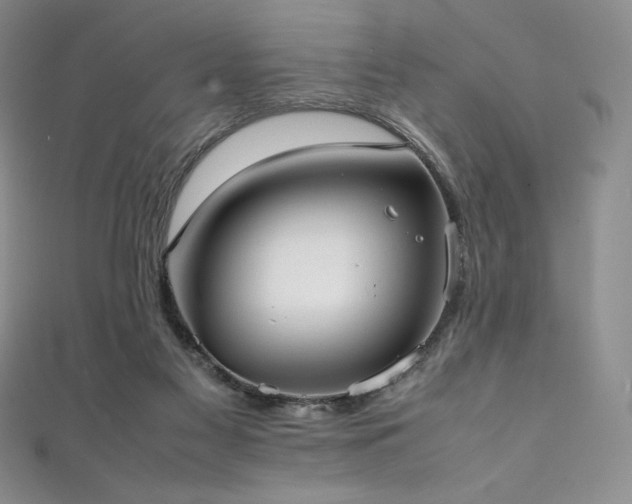 X0000111530117200907141536