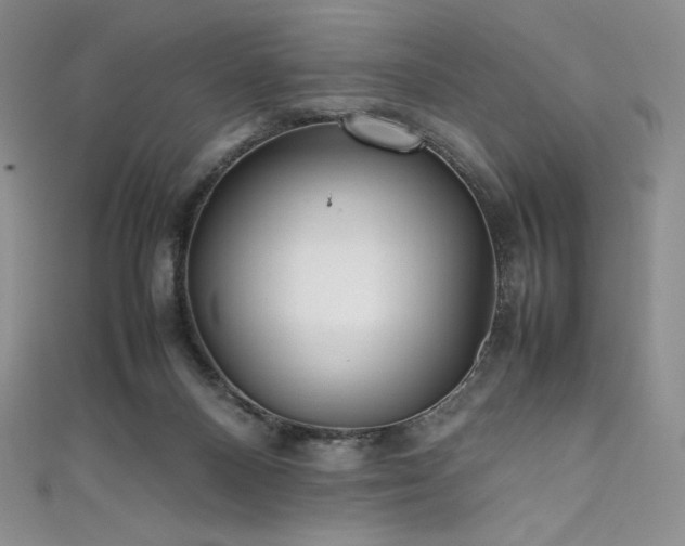 X0000111530120200907141536