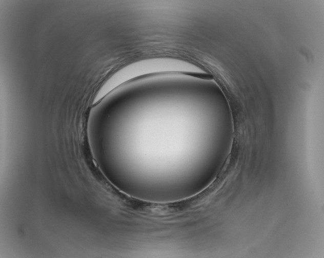 X0000111530121200907141536