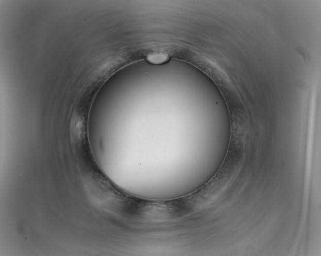 X0000111530123200907141536