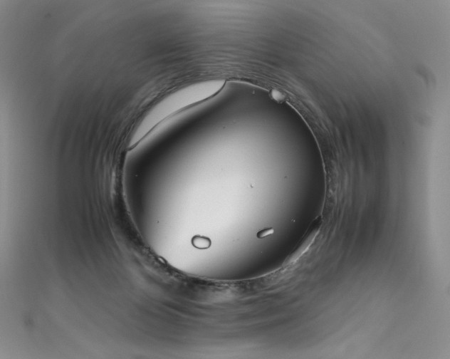 X0000111530124200907141536