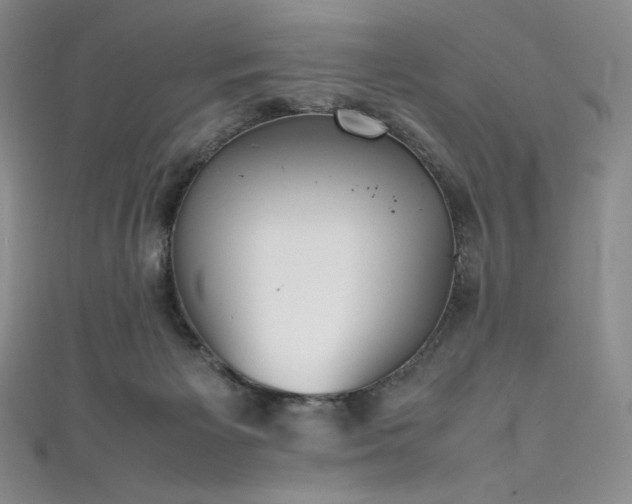 X0000111530125200907141536