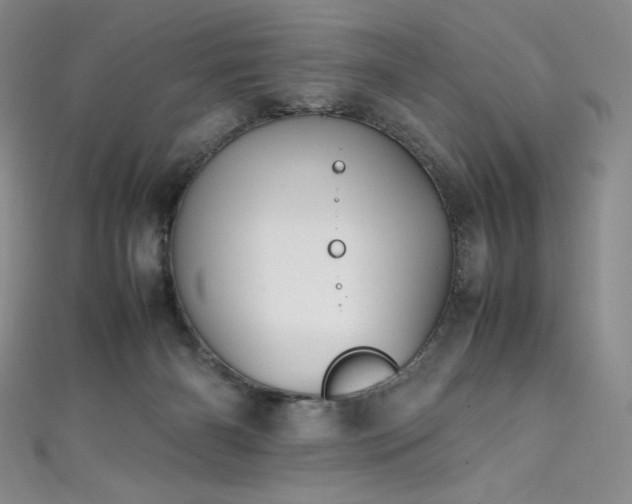 X0000111530126200907141536