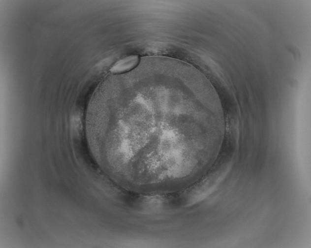 X0000111530127200907141536