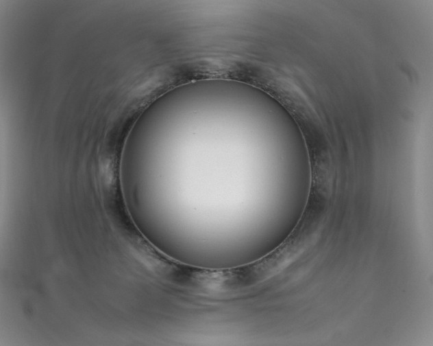 X0000111530131200907141536