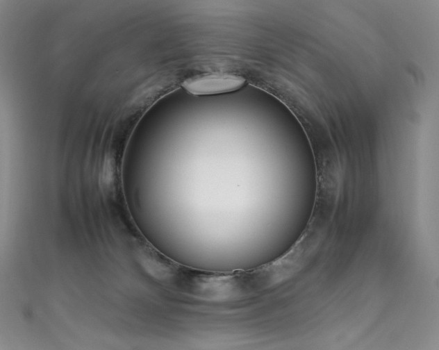 X0000111530132200907141535