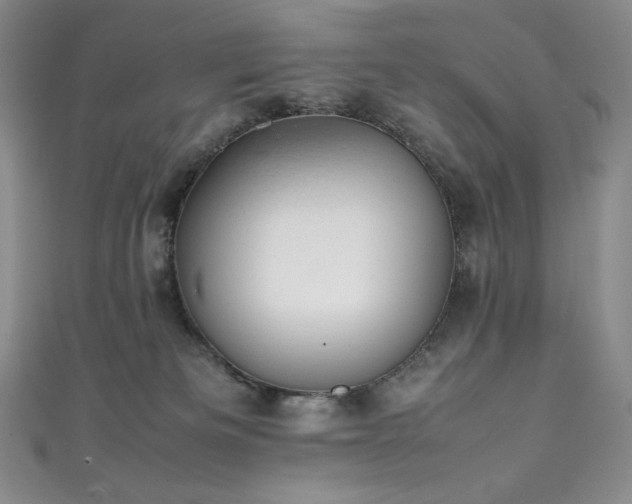 X0000111530133200907141535