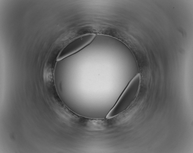 X0000111530137200907141535