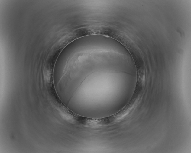 X0000111530139200907141535