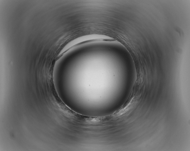 X0000111530140200907141535