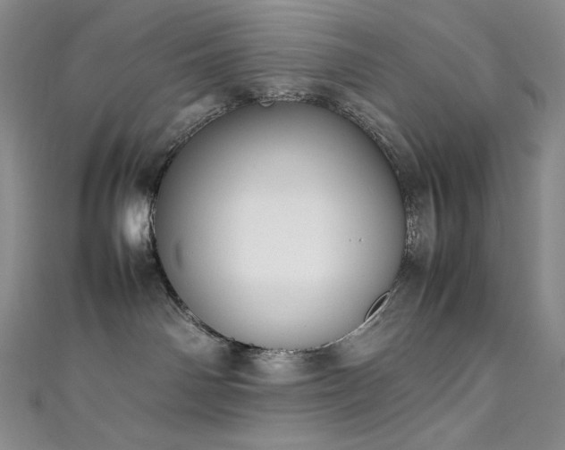 X0000111530142200907141535