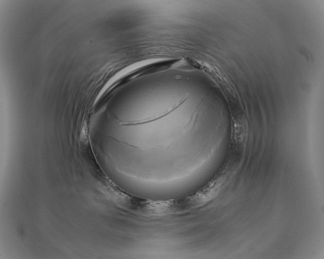 X0000111530143200907141535