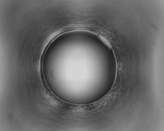 X0000111530148200907141535