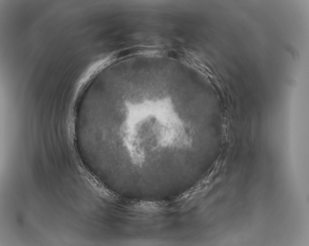 X0000111530149200907141535