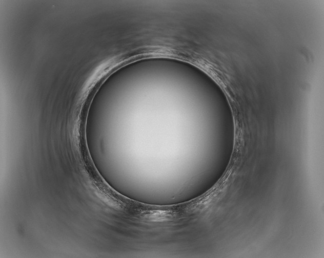 X0000111530151200907141535