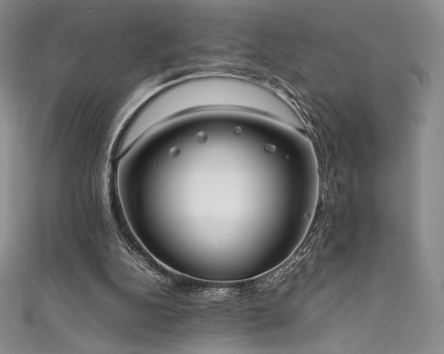 X0000111530152200907141535