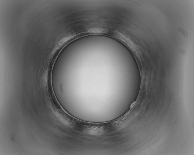 X0000111530155200907141535