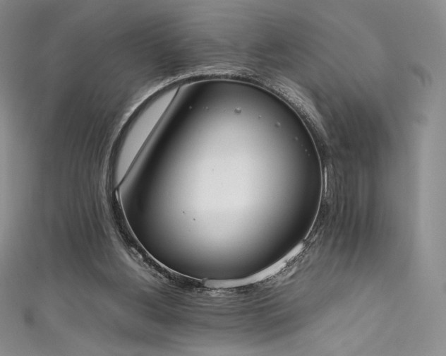 X0000111530156200907141535