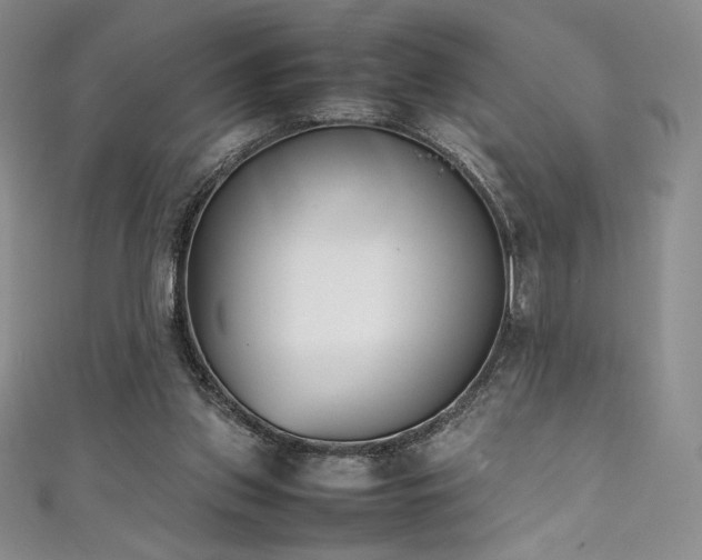 X0000111530157200907141535