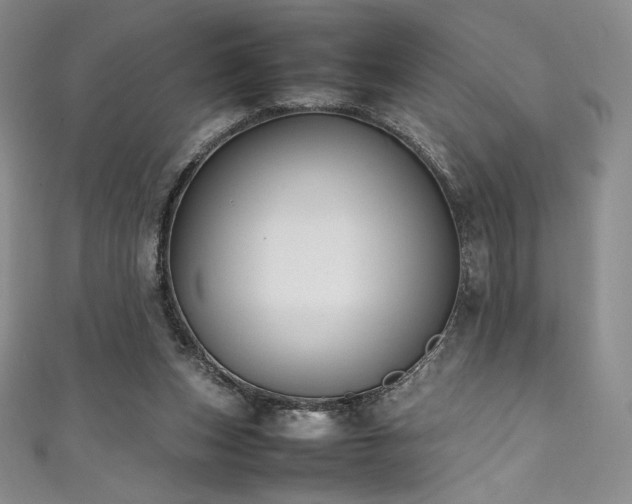 X0000111530159200907141535