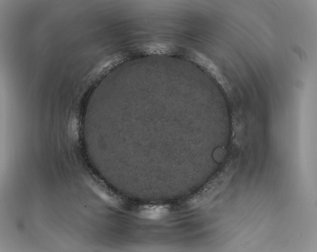 X0000111530161200907141535