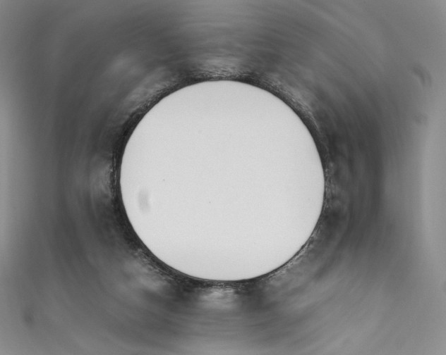 X0000111530162200907141535