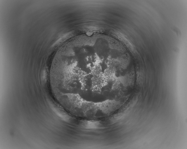 X0000111530165200907141535