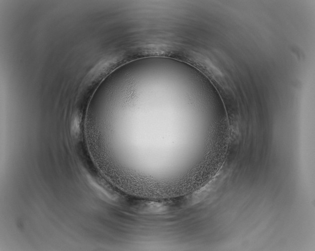 X0000111530166200907141535