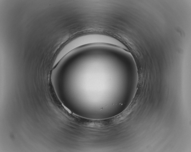 X0000111530168200907141535