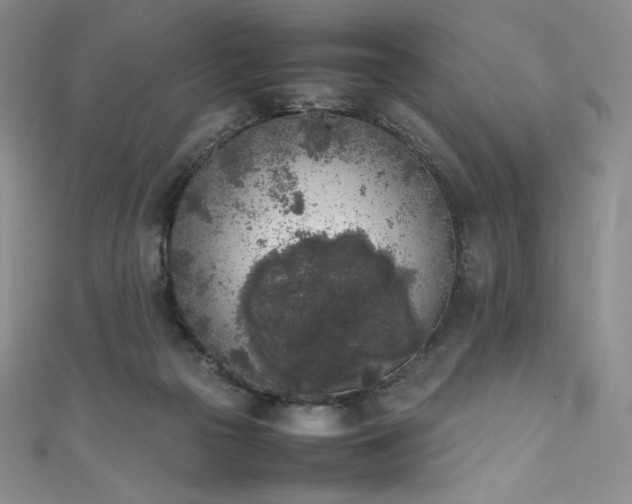 X0000111530169200907141535