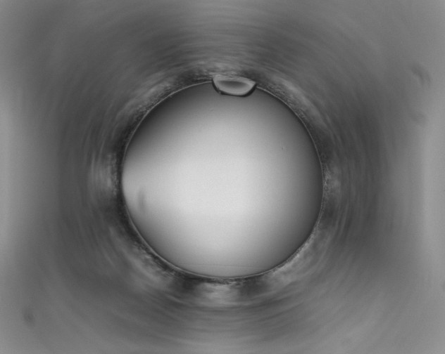 X0000111530170200907141535