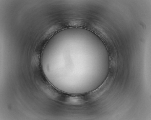 X0000111530171200907141535