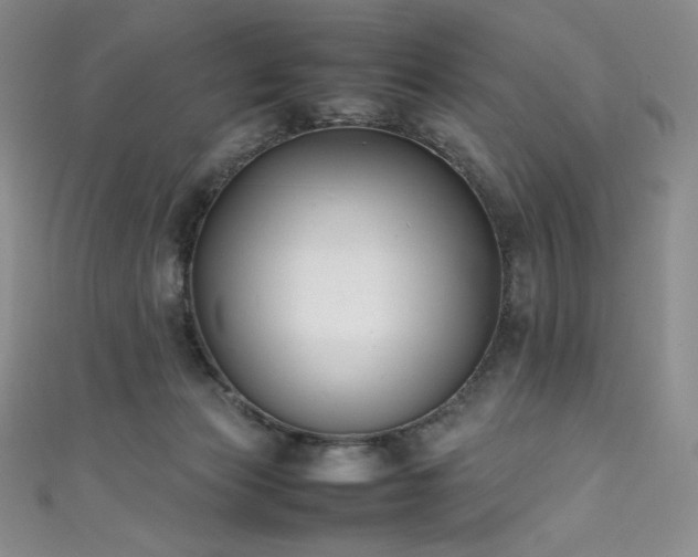 X0000111530173200907141535