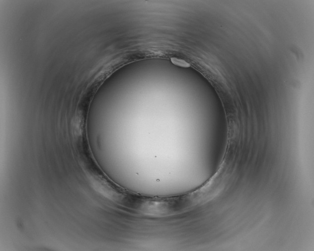 X0000111530174200907141535