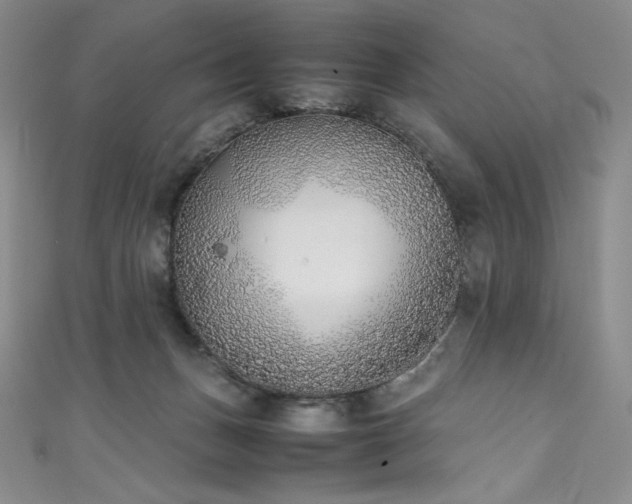 X0000111530175200907141535