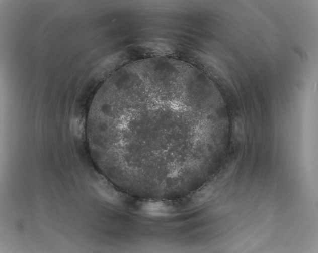 X0000111530177200907141535