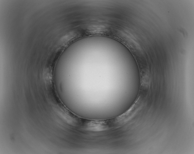 X0000111530179200907141535