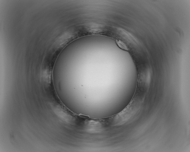 X0000111530180200907141535