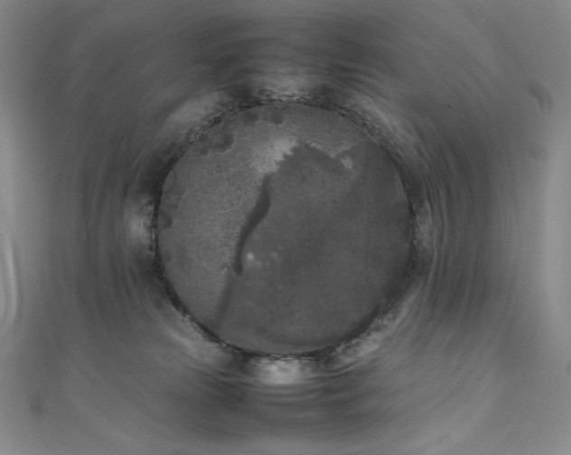 X0000111530181200907141535