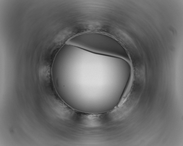 X0000111530184200907141535