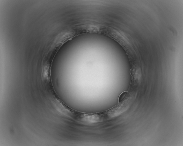 X0000111530185200907141535