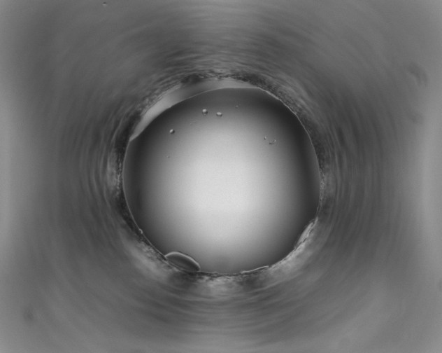 X0000111530186200907141535