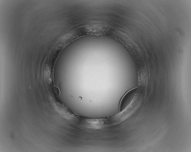 X0000111530187200907141535