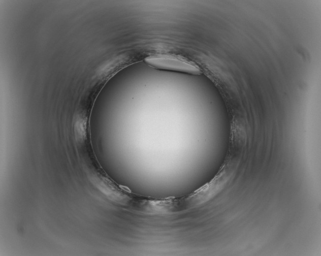 X0000111530188200907141535