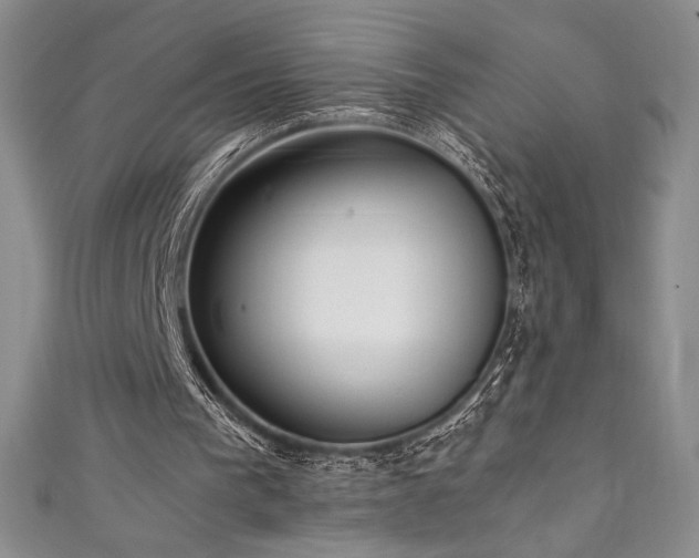 X0000111530193200907141535