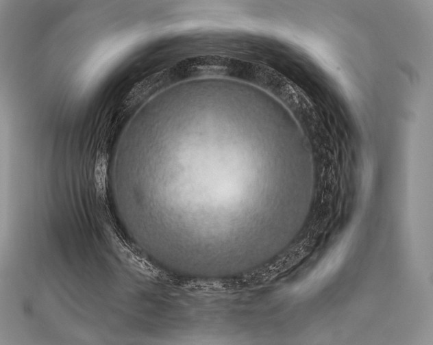 X0000111530194200907141535